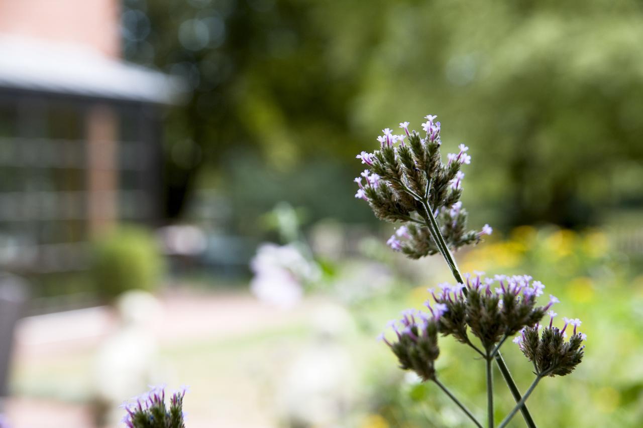 Hotel Restaurant Piaerdestall Hoevelhof エクステリア 写真